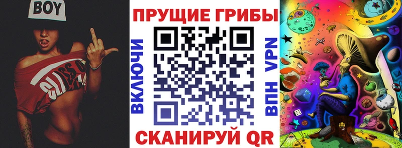 Купить закладки  Вышний Волочёк  Галлюциногенные грибы мицелий 